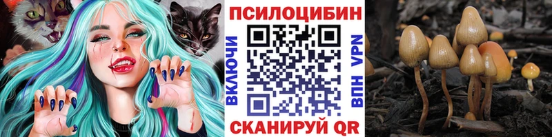 Галлюциногенные грибы GOLDEN TEACHER Вытегра