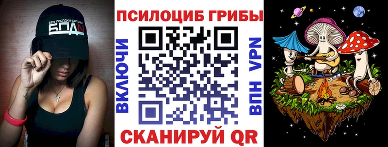 Купить где  Вытегра  Галлюциногенные грибы Psilocybe 