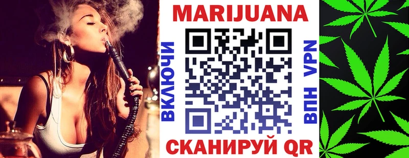 Бошки Шишки план  Купить закладки  Вытегра 